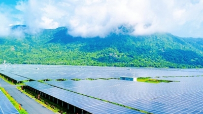 Đầu tư năng lượng tái tạo: ‘Giá mua điện tạm thời quá thấp sẽ khiến doanh nghiệp chết lâm sàng’