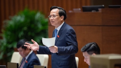 Bộ trưởng Đào Ngọc Dung: ‘Thu BHXH bắt buộc với hộ kinh doanh là sai chủ trương'