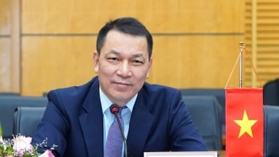 Thứ trưởng Bộ Công Thương Đặng Hoàng An làm Chủ tịch Tập đoàn Điện lực Việt Nam