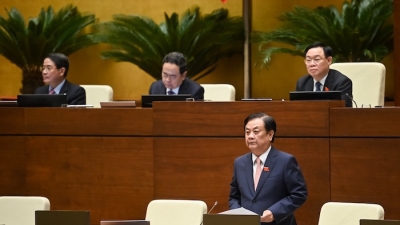 Bộ trưởng Lê Minh Hoan: Có tình trạng mua gom lúa gạo ồ ạt, đẩy giá lên cao