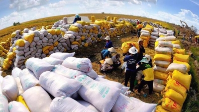 Giá gạo tăng nóng, Bộ Công Thương yêu cầu kiểm tra chợ, siêu thị… ngăn chặn đầu cơ, găm hàng