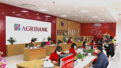 Hỗ trợ khách hàng, Agribank giảm tiếp 20% so với lãi suất cho vay