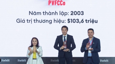 PVFCCo lọt top 25 thương hiệu công ty hàng tiêu dùng cá nhân và công nghiệp dẫn đầu Việt Nam
