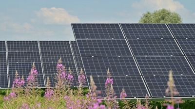 Trung Quốc nỗ lực thống trị công nghệ năng lượng mặt trời