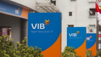 VSD chính thức nhận lưu ký 564 triệu cổ phiếu VIB của Ngân hàng VIB