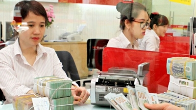 Cựu lãnh đạo bị khởi tố, Cao su Đồng Nai hủy đấu giá cổ phần HDBank