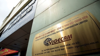 IPO trở lại sau 10 tháng tạm hoãn, Vigecam bớt ‘sốt’