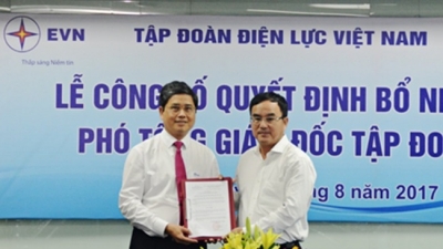 Ông Võ Quang Lâm giữ cương vị Phó Tổng giám đốc EVN