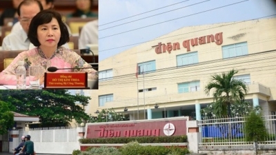 Thăng trầm của cổ phiếu DQC trước bước đường sự nghiệp của bà Hồ Thị Kim Thoa