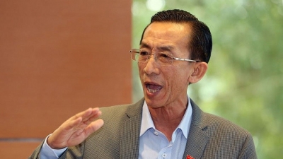 Đại biểu Trần Hoàng Ngân: Gia nhập CPTPP, Việt Nam không nên nhắm đến hàng giá rẻ