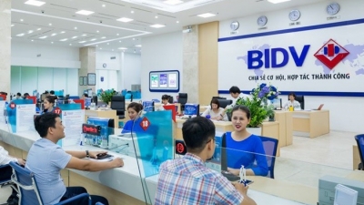 BIDV: Mạnh tay tiết giảm chi phí hoạt động, lãi 9 tháng vẫn giảm 3% xuống 7.028 tỷ đồng