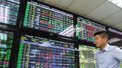 VN-Index 'ngụp lặn' dưới 960 điểm: Chọn cổ phiếu đầu cơ hay cổ phiếu vốn hóa lớn?
