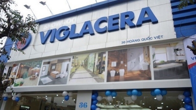 Viglacera: Chi phí tăng mạnh, lãi trước thuế quý II/2019 giảm gần 4%