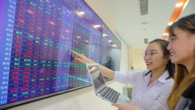 Nhiều cổ phiếu tăng hơn 30% trong tuần 'phi mã' của thị trường chứng khoán Việt Nam