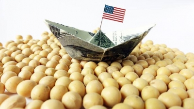 Vừa đạt thỏa thuận ‘đình chiến’, Trung Quốc ‘rục rịch’ nhập khẩu đậu tương Mỹ