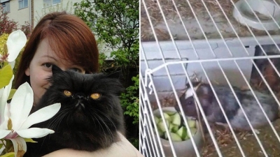 Vụ đầu độc cựu điệp viên Nga: Manh mối '1 con mèo, 2 con chuột'