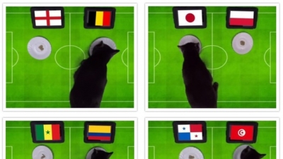 Kết quả bóng đá World Cup ngày 28/6 và 29/6 theo ‘dự đoán’ của ‘mèo tiên tri’