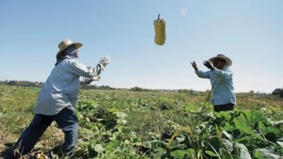 Không để nông dân bị ‘ức hiếp’, Mỹ hỗ trợ 12 tỷ USD đối phó đòn trả đũa thương mại