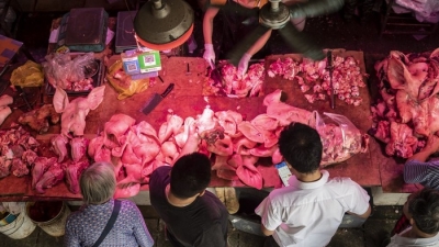 Trung Quốc: Giá thịt lợn tăng hơn 101%, lạm phát cao nhất 8 năm
