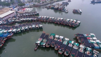Việt Nam kiên quyết phản đối việc Trung Quốc cấm đánh bắt cá trên Biển Đông