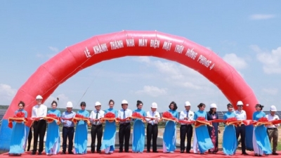 Tập đoàn Hà Đô khánh thành dự án nhà máy điện mặt trời 1.100 tỷ đồng tại Bình Thuận