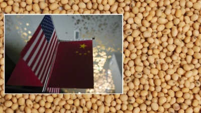 Chính phủ Trung Quốc yêu cầu ‘đóng băng’ việc nhập nông sản Mỹ