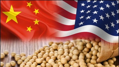Trung Quốc ‘xuống thang’ chưa từng có, dỡ thuế quan với thịt lợn và đậu tương Mỹ