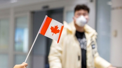 Công ty Trung Quốc phải bồi hoàn 142.000 USD cho Toronto vì bán khẩu trang kém chất lượng