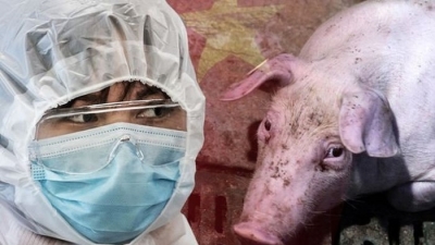 Covid-19 chưa qua, Trung Quốc lại phát hiện chủng virus cúm 'tiềm năng gây đại dịch'