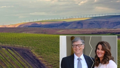 Vợ chồng tỷ phú Bill Gates sở hữu bất động sản nông nghiệp lớn hơn diện tích Singapore