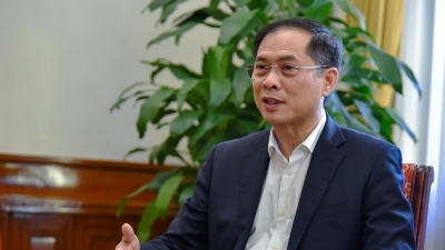 Bộ trưởng Bùi Thanh Sơn: 'Tranh thủ tối đa cơ hội tiếp cận vaccine Covid-19 nhanh, nhiều và sớm nhất'