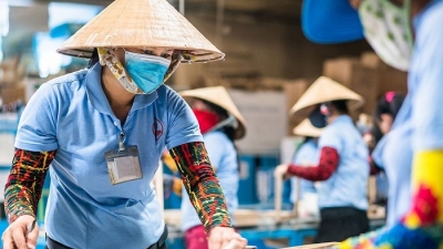 World Bank: Kinh tế Việt Nam có thể phục hồi mạnh mẽ từ cuối quý III