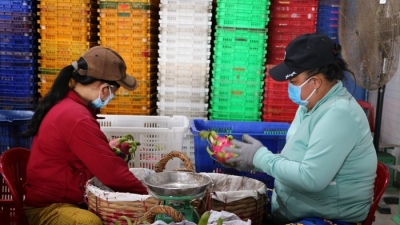 Thủ tướng Phạm Minh Chính đề nghị Trung Quốc đẩy nhanh mở cửa thị trường với nông sản Việt Nam