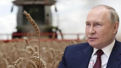 Rút khỏi thỏa thuận ngũ cốc, Nga tuyên bố có thể thay thế nguồn cung từ Ukraine