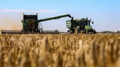 Huỷ các lô hàng lớn từ Mỹ và Australia, Trung Quốc làm 'rung chuyển' thị trường lúa mì