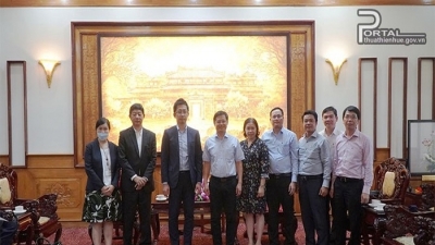 Tập đoàn Mitani Sangyo muốn mở rộng hợp tác tại Thừa Thiên Huế
