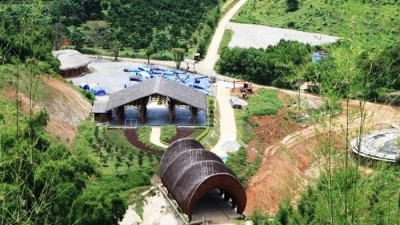 Thanh Hoá: Chốt hạn cuối xong thủ tục thuê đất làm công viên tre luồng 1.200 tỷ đồng