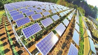 'Ông lớn' EDP bỏ vốn 500 triệu USD làm điện gió, điện mặt trời ở Việt Nam