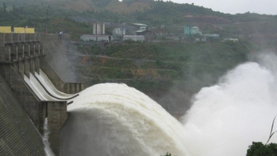 Thủy điện Vĩnh Sơn - Sông Hinh 'kiên trì' thoái vốn tại Du lịch Bình Định