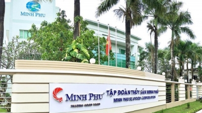 ‘Vua tôm’ Minh Phú liên tục rót thêm vốn vào các công ty con