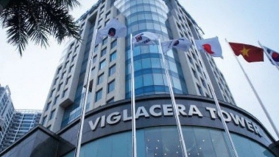Gelex hoàn tất thâu tóm Viglacera, đón thêm cổ đông lớn Dragon Capital