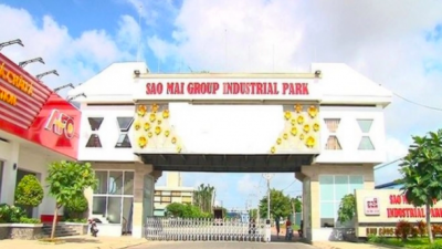 Cổ đông Tập đoàn Sao Mai (ASM) sắp nhận cổ tức 30% bằng cổ phiếu