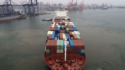 Ngành vận tải biển làm ăn 'phát tài' nhất kể từ năm 2008