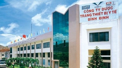Tỉnh Bình Định muốn lùi thời hạn thoái toàn bộ vốn nhà nước tại DBD và BMC