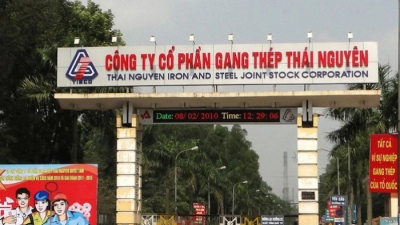 Gang thép Thái Nguyên (TIS): Lãi sau thuế 6 tháng giảm 66% còn 35 tỷ đồng