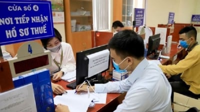 Top 10 thu thuế: Hà Nội và TP.HCM vượt 300 nghìn tỷ, 8 tỉnh thu hơn 30 nghìn tỷ