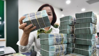 Quy định về đại gia Việt góp vốn vào ngân hàng liên doanh nước ngoài