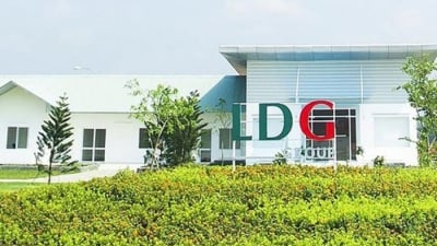 LDG: Lãi trăm tỷ rồi đổ dốc, Chủ tịch Nguyễn Khánh Hưng bán chui cổ phiếu