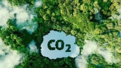 Đề xuất lập sàn giao dịch tín chỉ carbon quốc gia