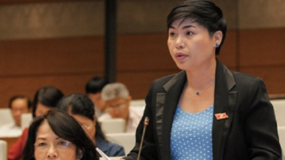 Đại biểu doanh nhân Đỗ Thị Thu Hằng: Nữ tướng của Sonadezi